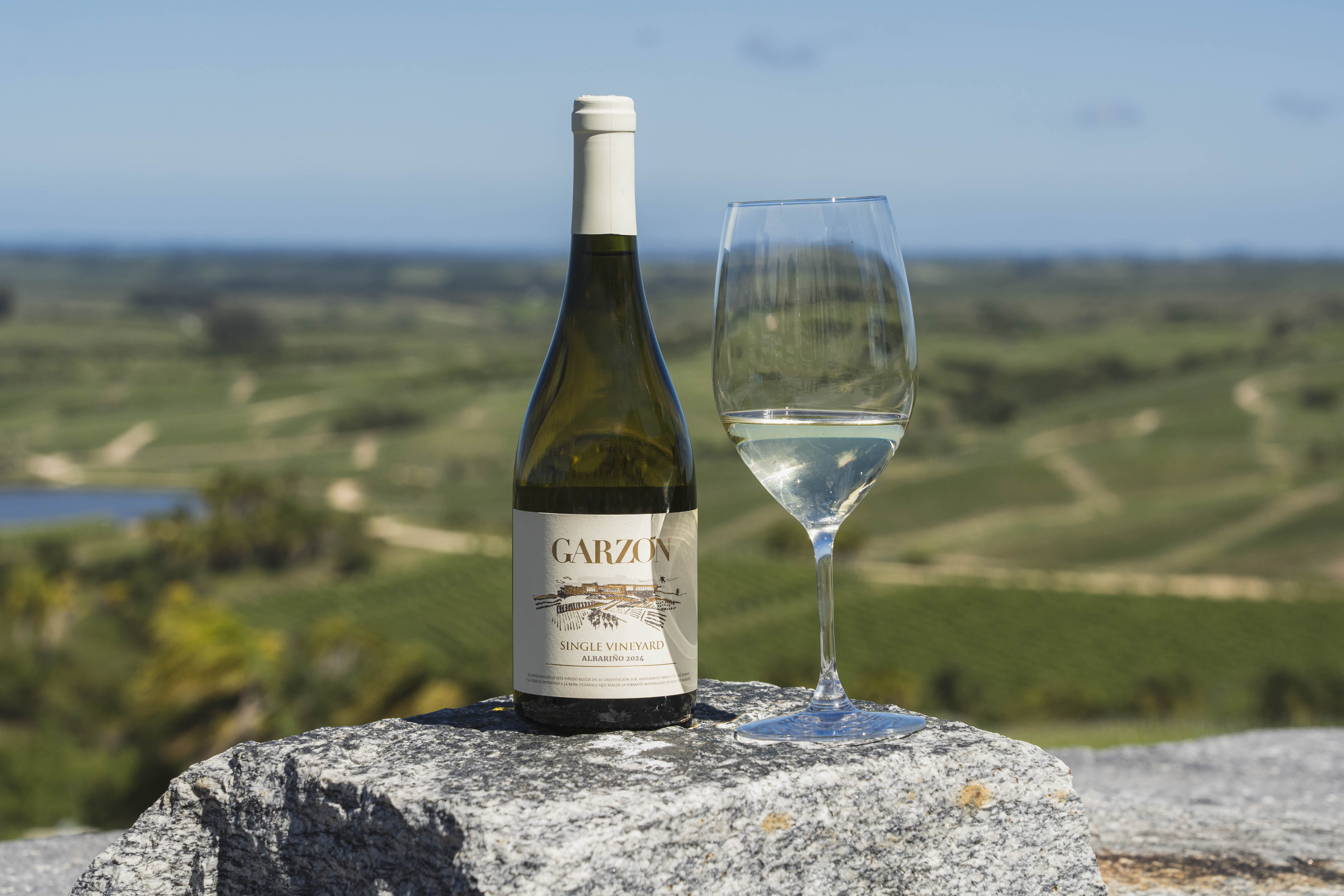 Bodega Garzón Albariño: Atlantic Freshness with a Uruguayan Signature