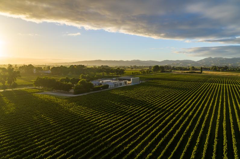 Allan Scott Winery