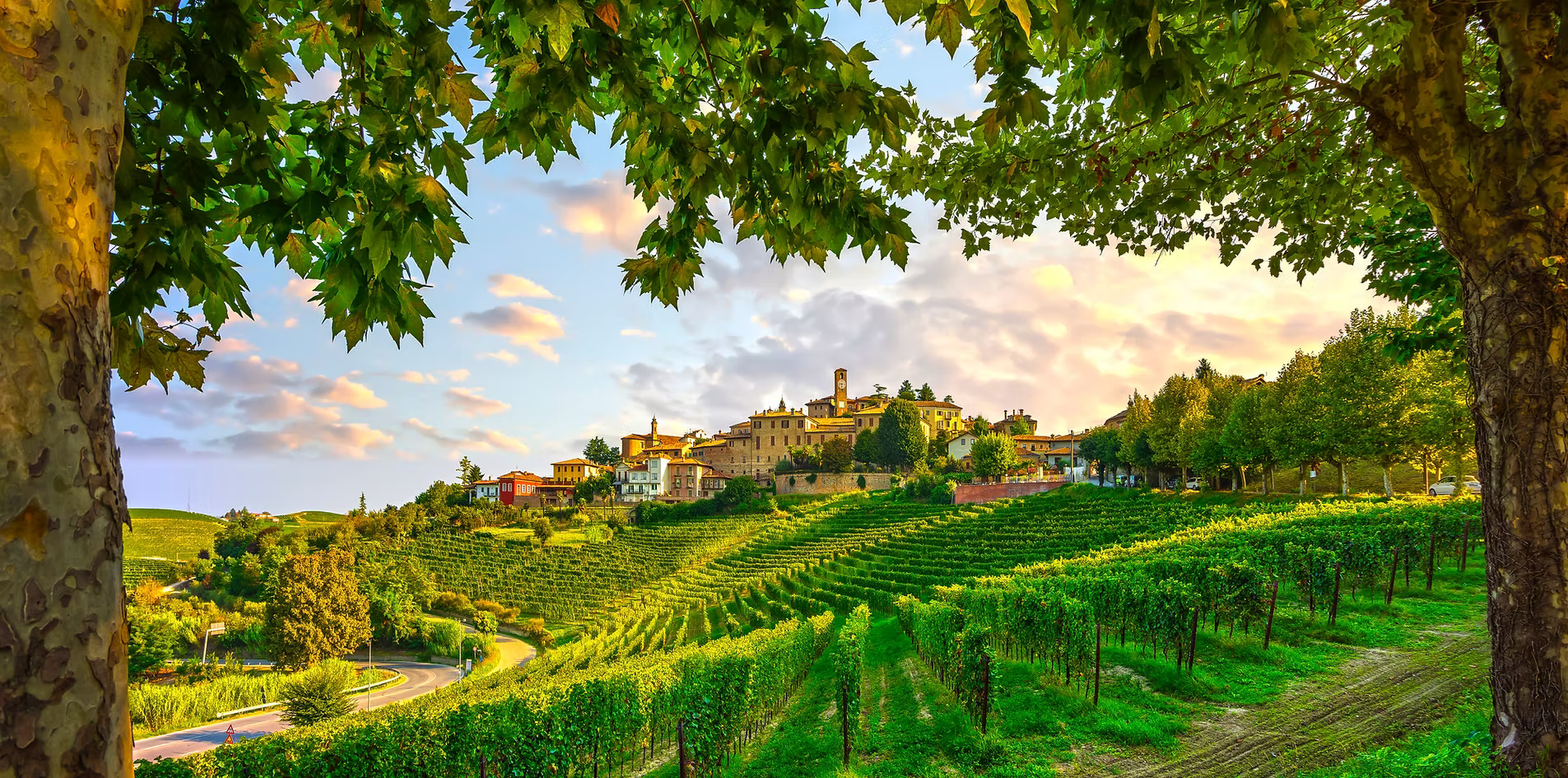 Castello di Neive