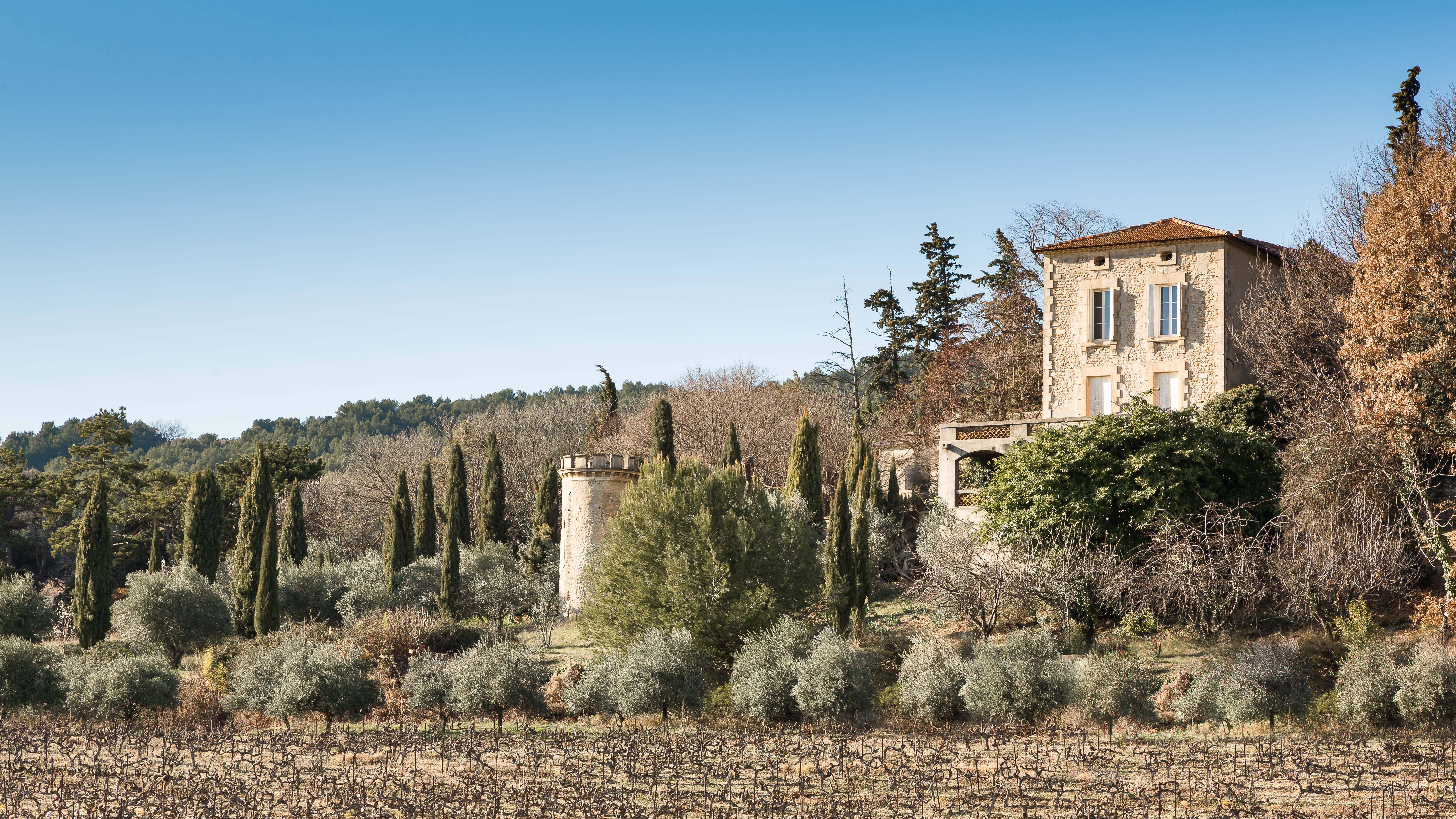 chateau de rouanne