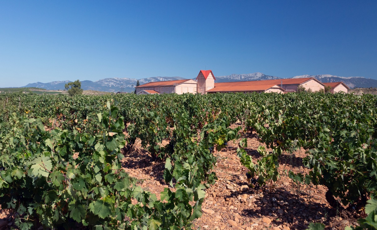 Finca Valpiedra