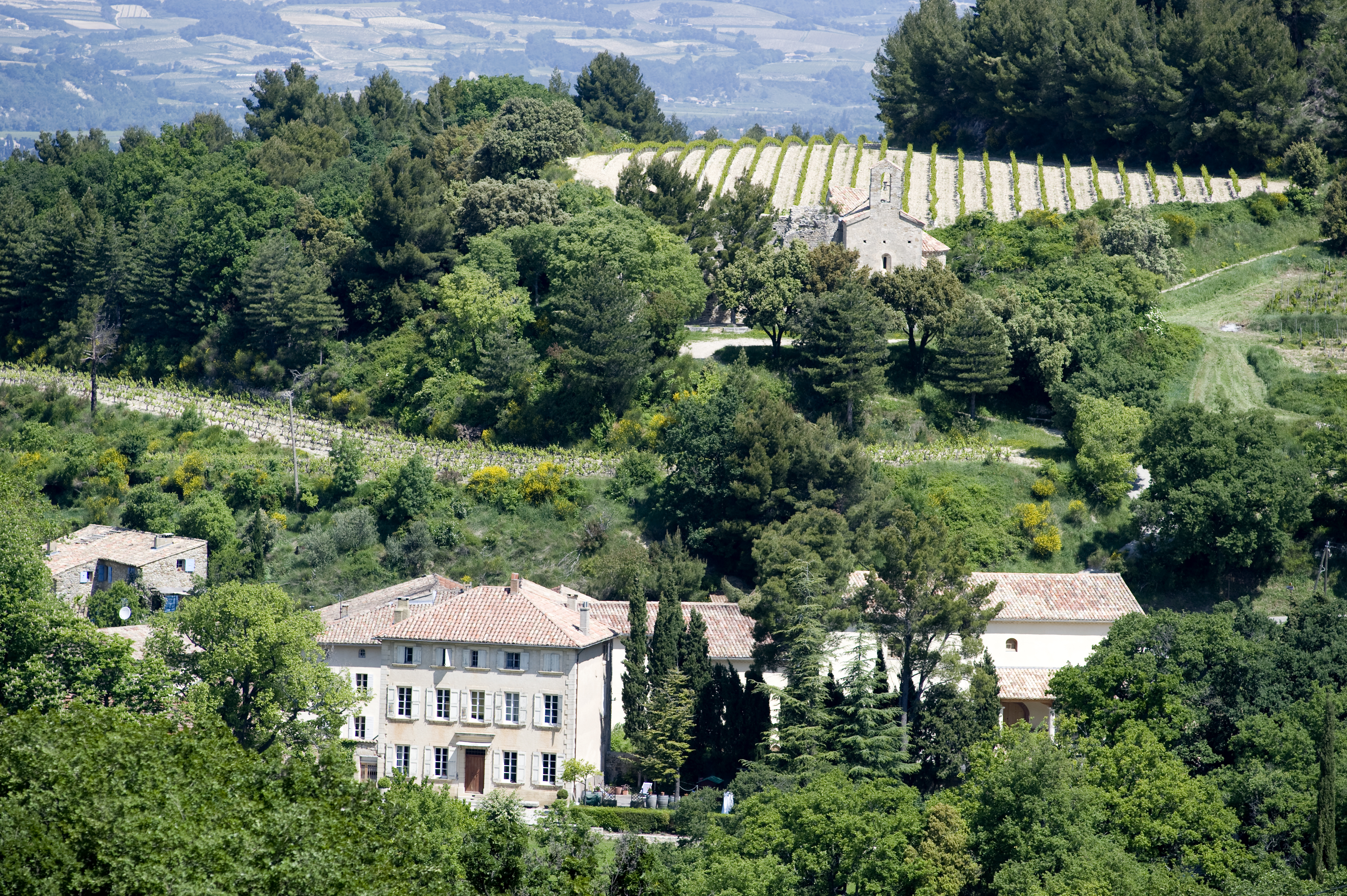 st cosme winery