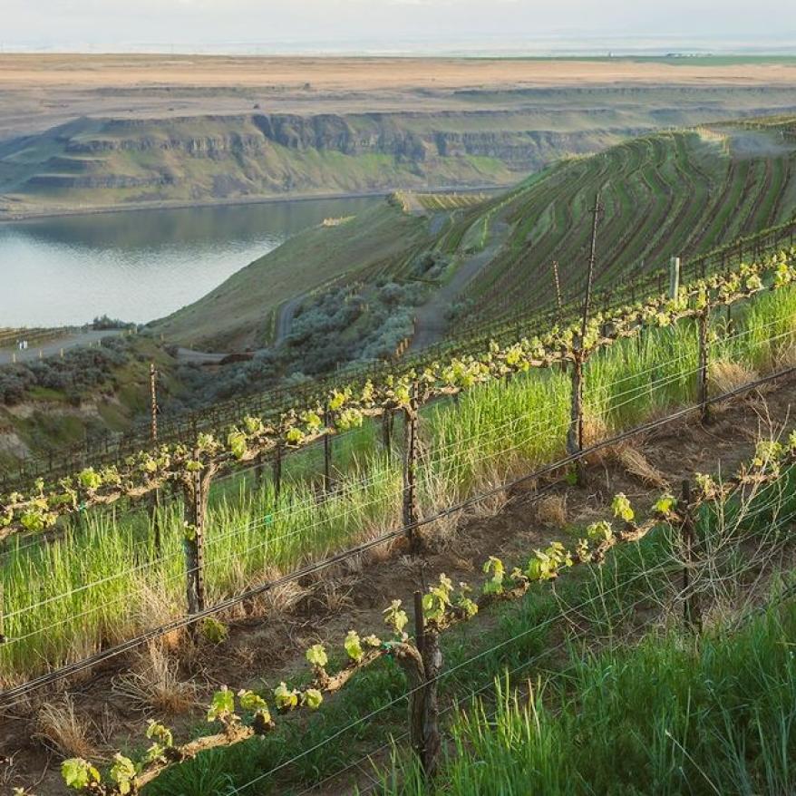 Matthews honors traditions while embracing Washington’s energy and