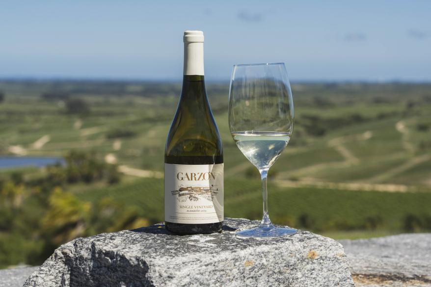 Bottle of Albariño on Scenic Vineyard Overlook 