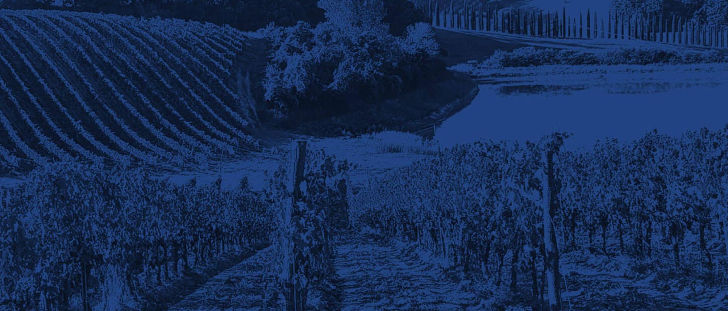 Winebow Fine Wines + Spirits