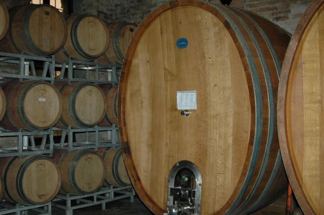 Catello di Neive Cellar