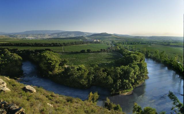 Finca Valpiedra Vineyards