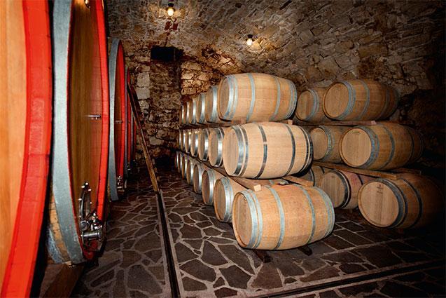 Tiefenbrunner Historic Cellar