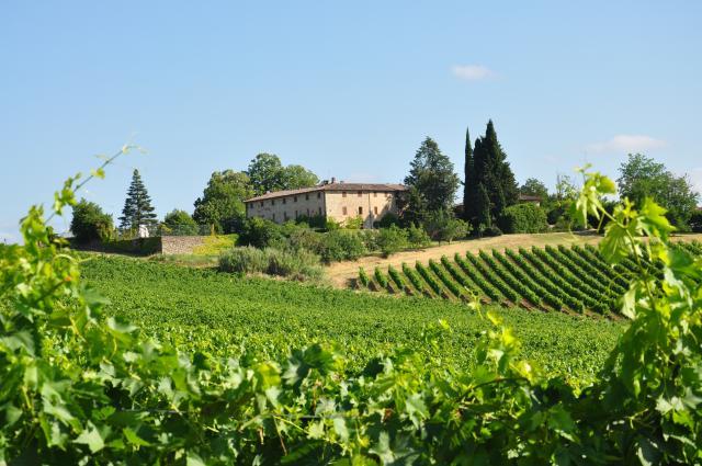 Castello di Bossi Winery