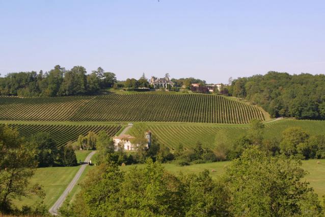 View of the Estate View of the Estate
