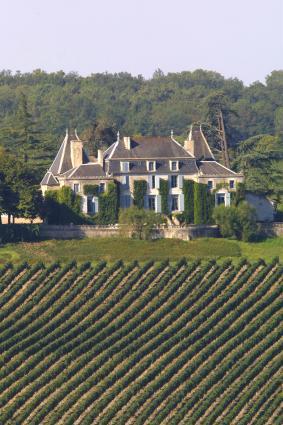 View of the Chateau from the Vineyard View of the Chateau from the Vineyard