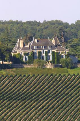 View of the Chateau from the Vineyard