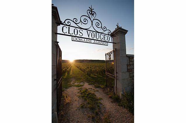 Clos Vougeot Clos Vougeot