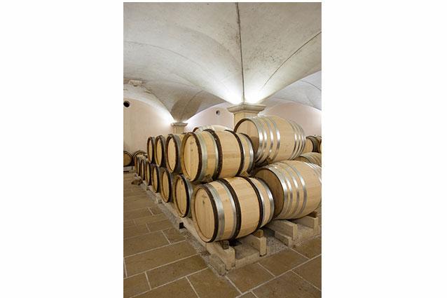 Domaine Alain Chavy Cellar