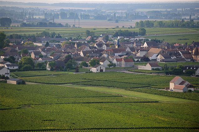 Domaine Alain Chavy Domaine Alain Chavy