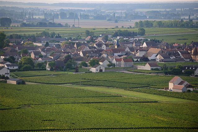 Domaine Alain Chavy