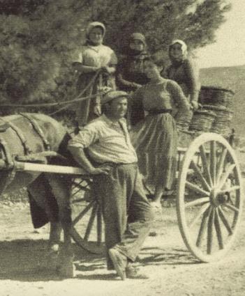 Yiannis Papagiannakos Harvest 1955