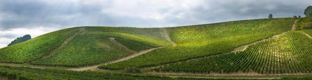 1er Cru Vaulignot vineyard, the Calvary 1er Cru Vaulignot vineyard, the Calvary