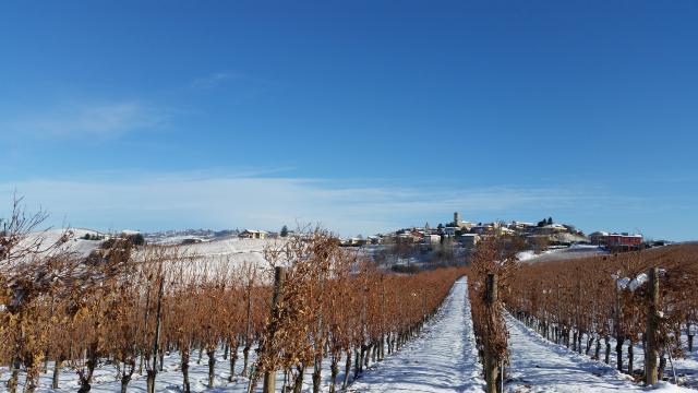 Boroli Snow Boroli Snow