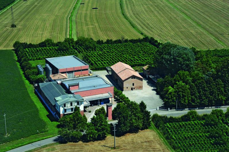 LINI Winery LINI Winery