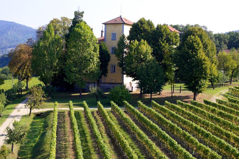 La Toledana | Winebow