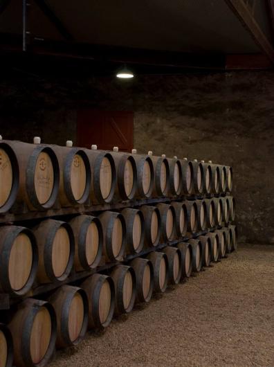 Yalumba Barrel Room Yalumba Barrel Room