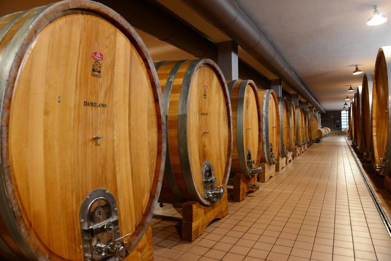 Damilano Cantina Damilano Cantina