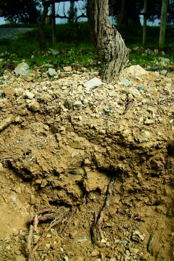 Subsoil Subsoil