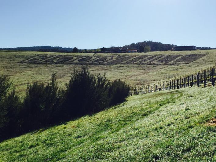 Bloody Hill Vineyard Image of Bloody Hill, with the name imprinted on the lawn of the vineyard