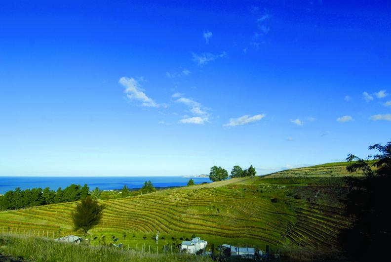 Esk Valley Terraces, Pacific Ocean