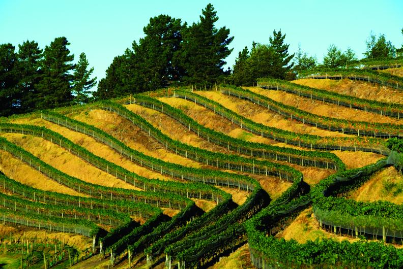 Esk Valley Terraces