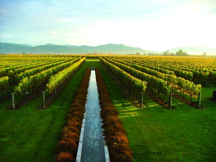 Marlborough Winery Marlborough Winery