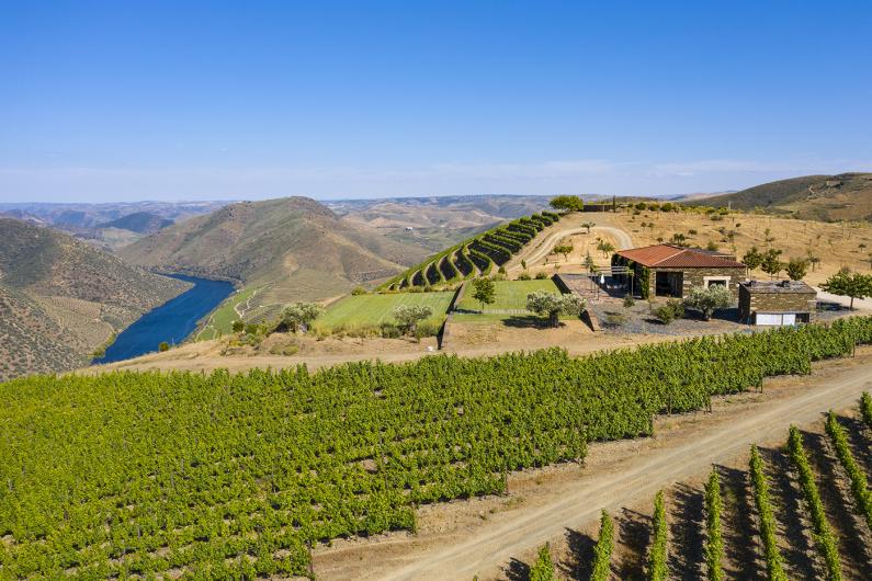 Duorum Vineyards Duorum Vineyards