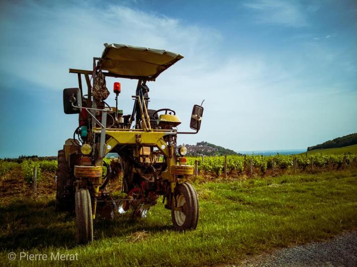 Domaine Fouassier