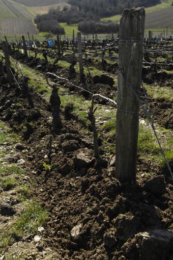 Domaine Fouassier Domaine Fouassier