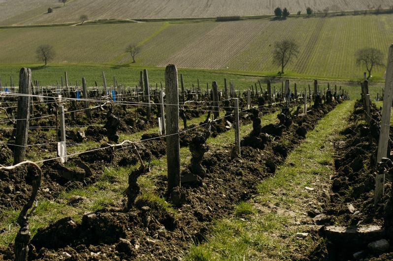 Domaine Fouassier Domaine Fouassier