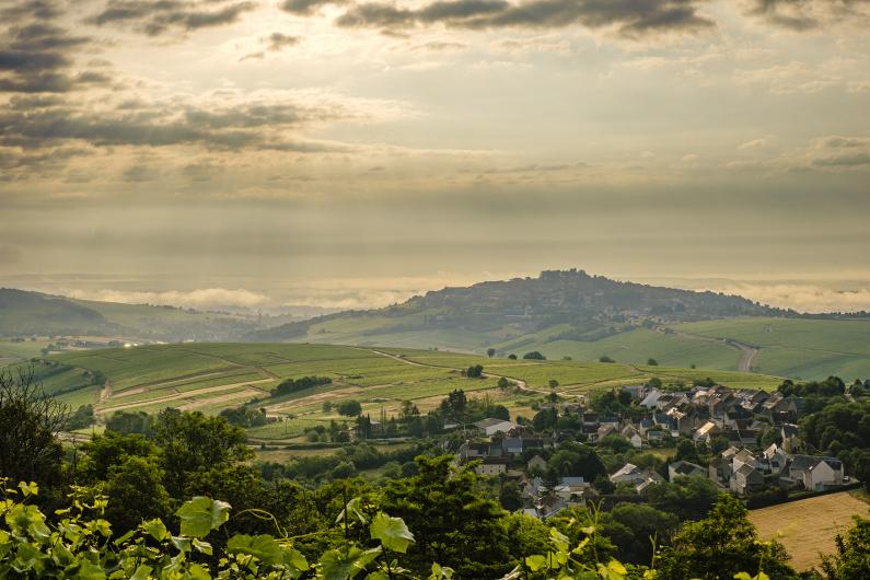 Domaine Fouassier Domaine Fouassier