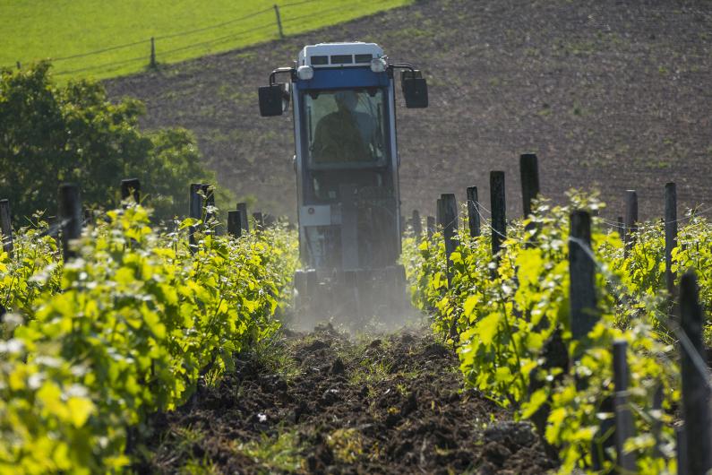 Domaine Fouassier