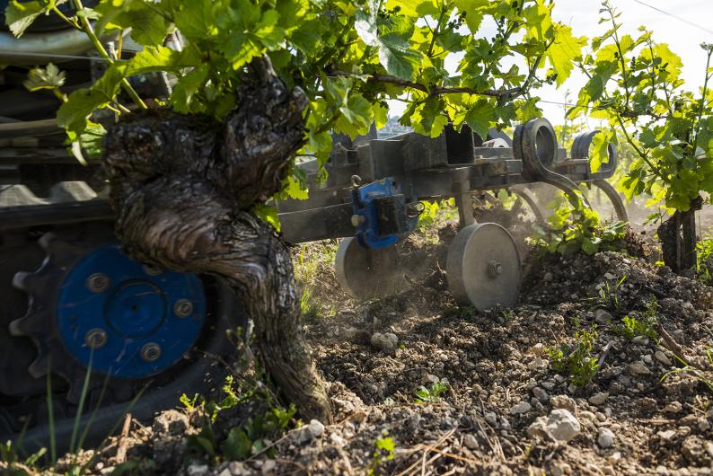 Domaine Fouassier Domaine Fouassier