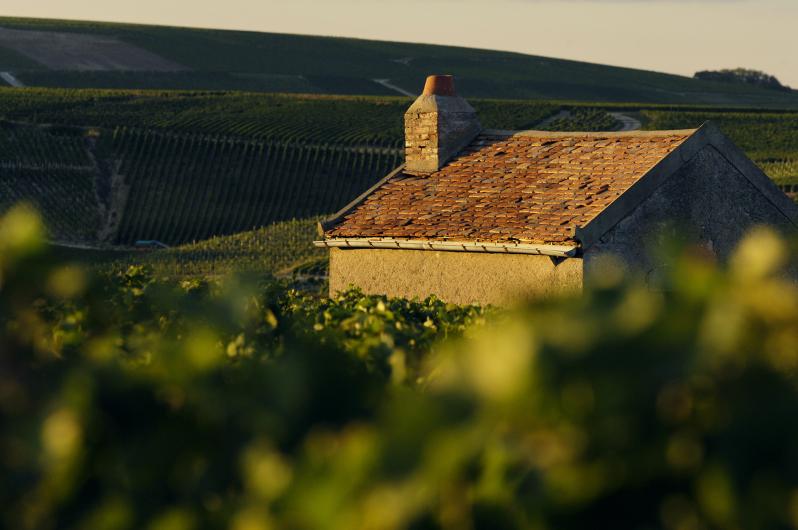 Domaine Fouassier Domaine Fouassier