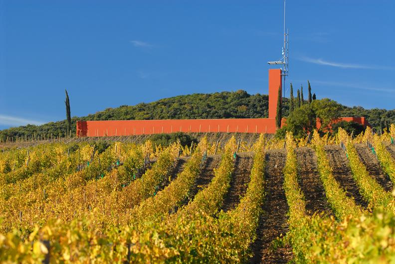 Rocca di Frassinello - vigneti e struttura Rocca di Frassinello - vigneti e struttura