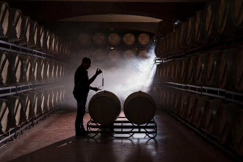 Faustino Barrel Room Faustino Barrel Room