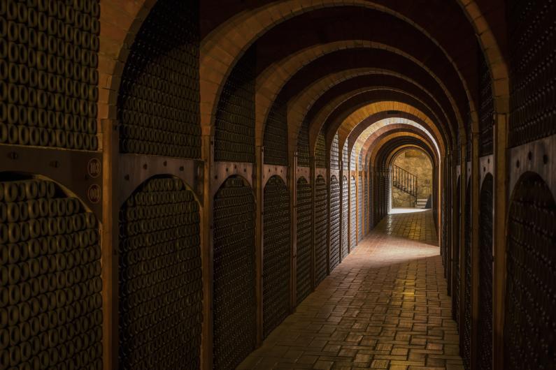 Faustino Wine Cellar Faustino Wine Cellar
