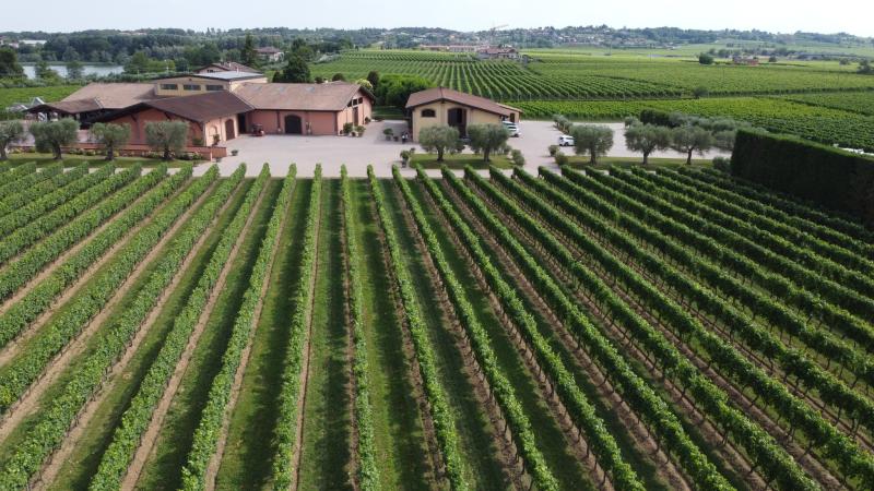 Zenato Winery & Vineyard Zenato Winery & Vineyard