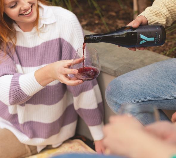Y Series Pinot Noir