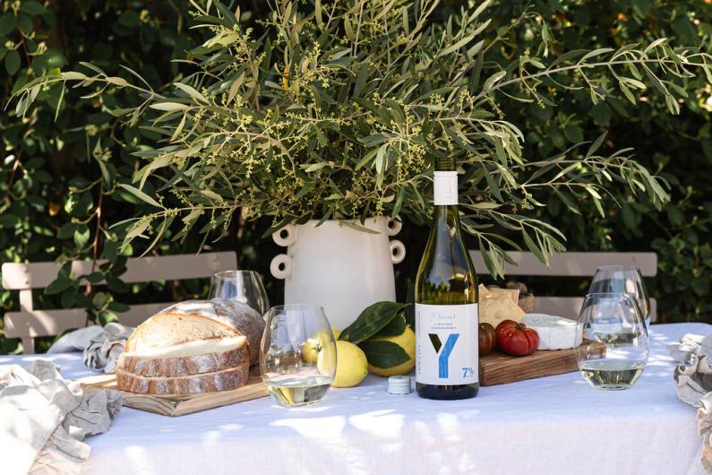 Y Series Lighter Chardonnay Y Series Lighter Chardonnay