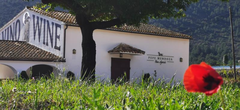 Winery Winery